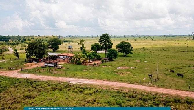 Imóvel Rural 2.178 ha (Fazenda) - Acará - PA