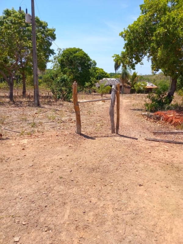 Fazenda 7 km da cidade de Centenário, medindo 109 hectares no Loteamento Santa Rosa em Centenario/TO.