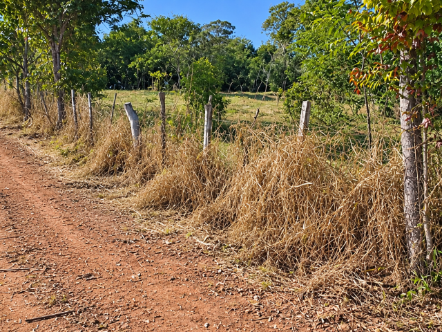 Imóvel Rural, 3,4989ha, Laranjal Paulista/SP