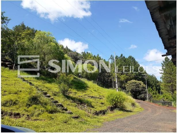 Imóvel sendo parte do lote rural sob n. 67, situado no Núcleo Barro Preto, em Coronel Vivida/PR, con