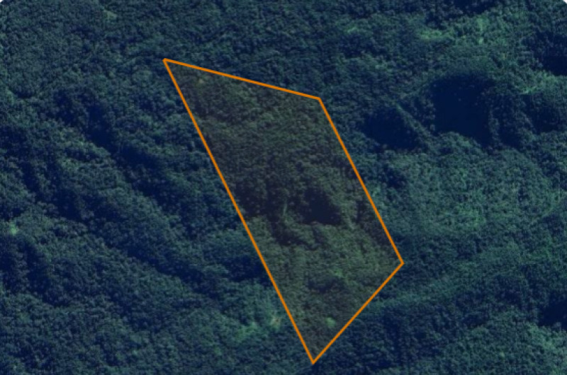 Imóvel rural com 25,0301 hectares situado na fazenda rio paleta no município de pouso redondo/sc