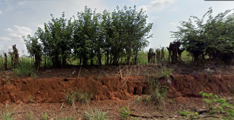 Fazenda com 12.000m² em são josé do rio preto/sp