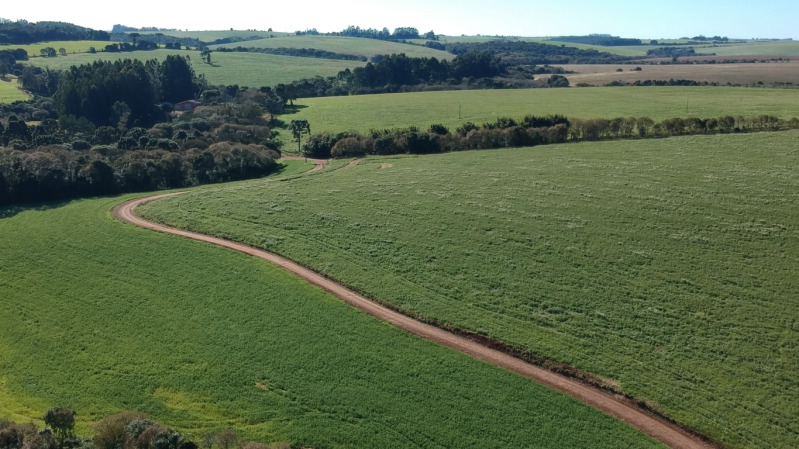 A FRAÇÃO IDEAL DE 38.535,98m² SOBRE UMA PARTE DE TERRAS DE CAMPO E CAPOEIRAS, com a área de 764.504,24m², na Invernada das Pretas, dentro da Fazenda do Cedro, em PONTÃO/RS