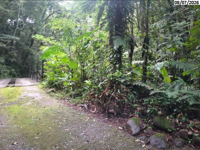 Terreno 3.700,00m² - São Sebastião/SP