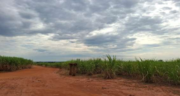 Área Rural de 14,25 Hectares - Lote nº 14 - Bairro Meia Légua - Nova Europa/SP