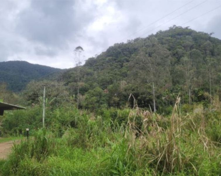 IMÓVEL RURAL INDAIAL/Encano Alto/134.997,00 m²