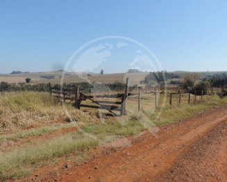 Fazenda - 13,06 ha