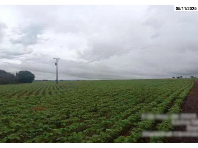 Sítio c/ aprox. 29,50 hectares - Marechal Cândido Rondon/PR