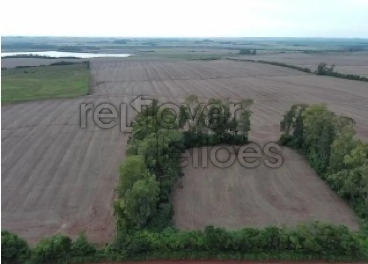 Área rural c/ 9 hac - santo antônio das missões / rs