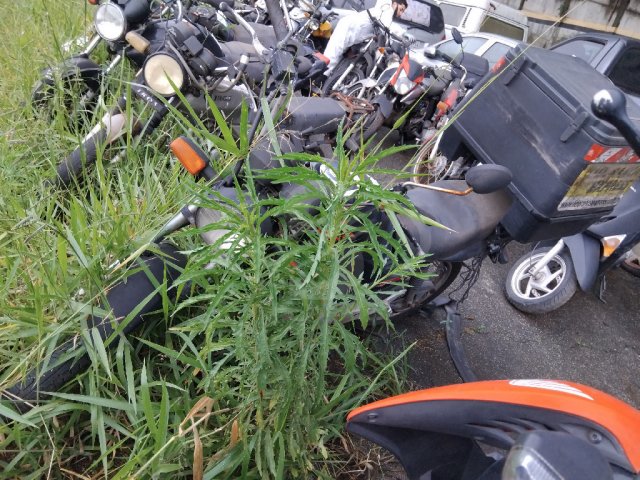 Honda CG 125 Fan KS