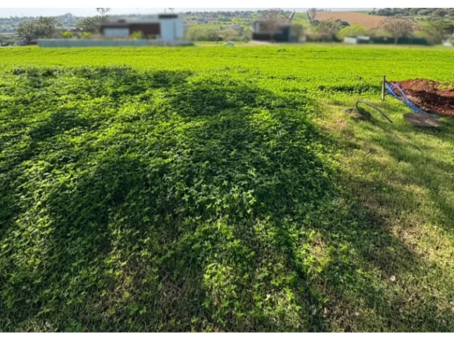 Terreno - 586,54m² - Cond. Jardins de Monet Residence