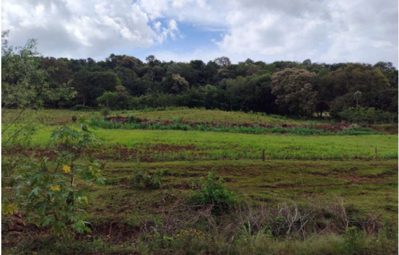 Lote n° 178 da gleba 33 com área de 29.000m² em santa izabel do oeste/pr