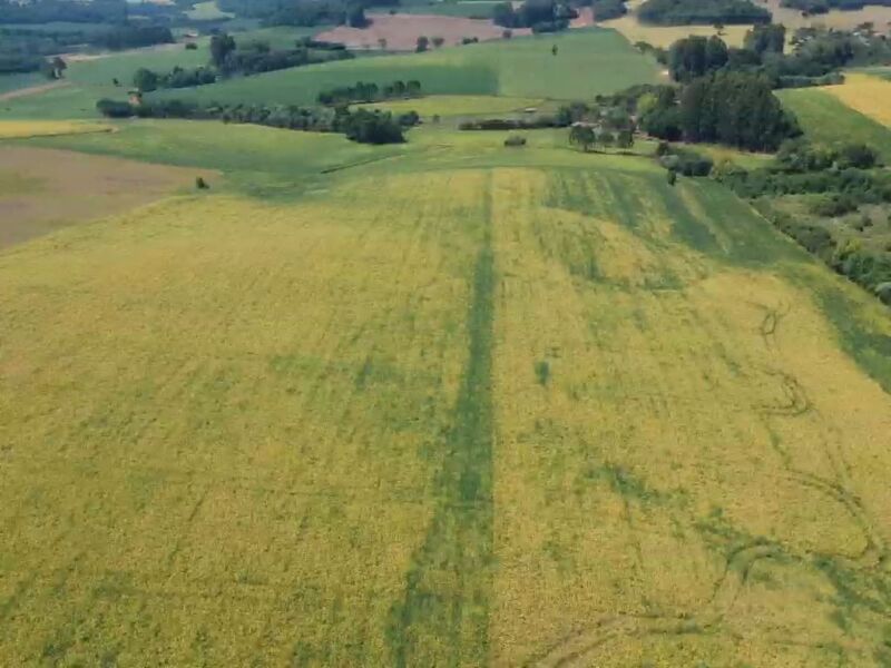 OS DIREITOS E AÇÕES DA FRAÇÃO IDEAL DE 8.410,71m² SOBRE O LOTE RURAL Nº 178, com área total de 117.750,00m² e suas benfeitorias, em ÁUREA/RS