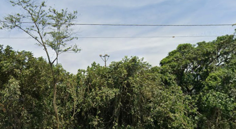 Imóvel com 100.000,00 m² localizado no sito campo grande, zona rural de cubatão/sp