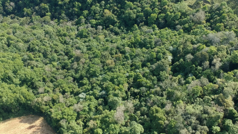 UM IMÓVEL, constituído de PARTE DA METADE DO LOTE RURAL Nº 92 e PARTE DO LOTE RURAL nº 94, denominada "C", da Linha Quatro (4), da Primeira Secção Rio do Peixe, com a área de 83.321,666666m² em CARLOS GOMES/RS