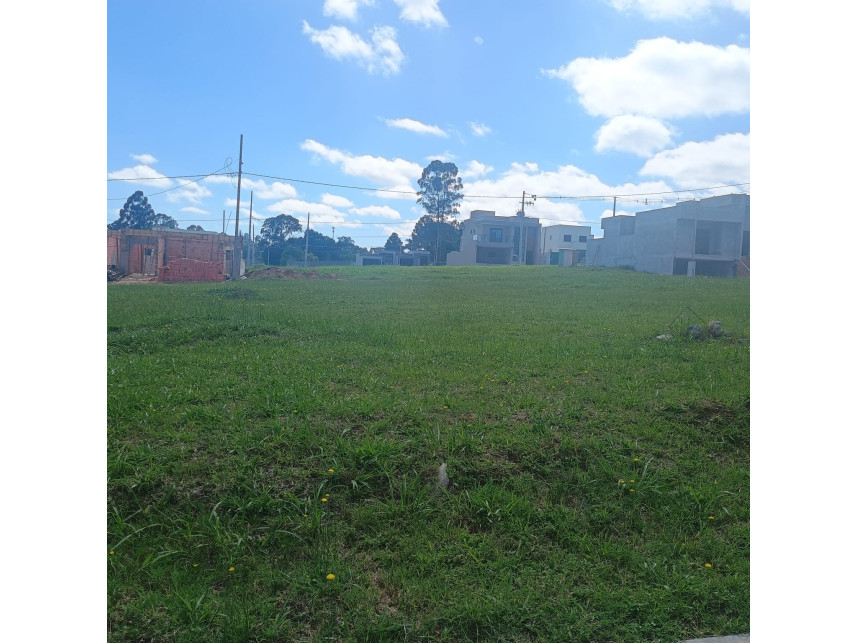 Terreno - Rua Juvelino Alves dos Santos, 301 - Ponta Grossa/PR