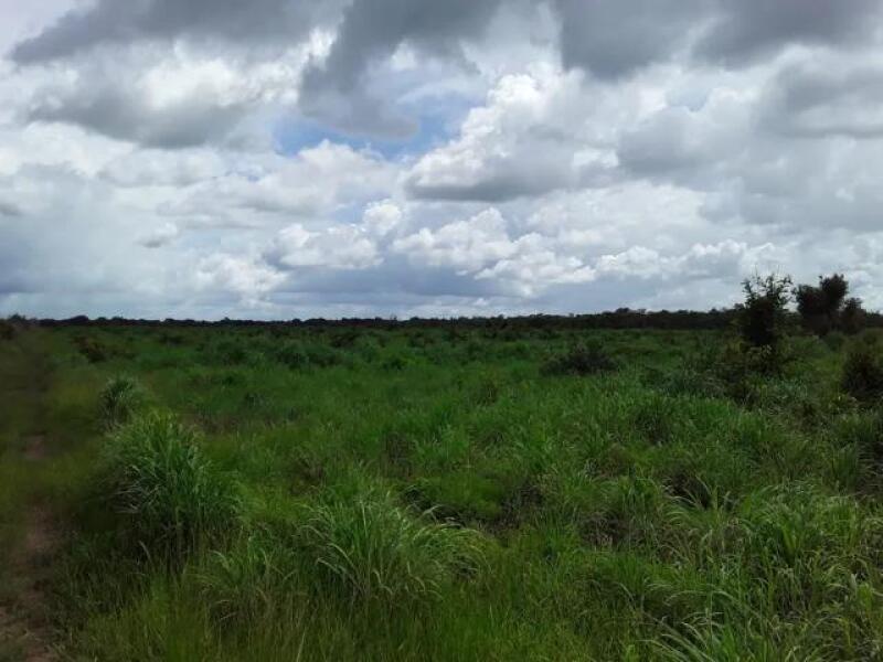 42 hectares no PA São Gabriel em Aragominas - Tocantins