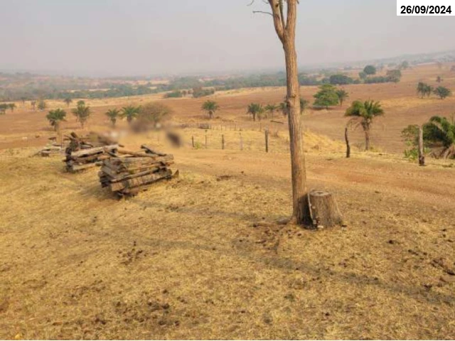 Fazenda com 149,48 hectares - Santa Fé de Goiás/GO