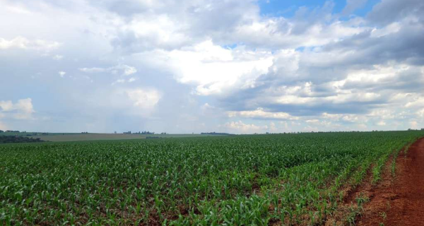 Imóvel Rural - Área de 6.725.615,00m² - Fazenda Piquiri - Cascavel/PR