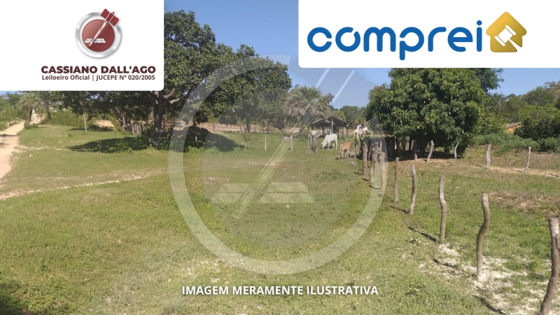 Gleba de terras, com uma área de 420ha, denominada Fazenda Larga, localizada no distrito de São Joaquim, Januária-MG