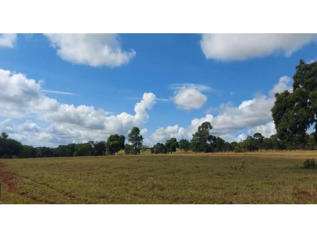 Sítio c/ 76,8644 hectares - Ituiutaba/MG
