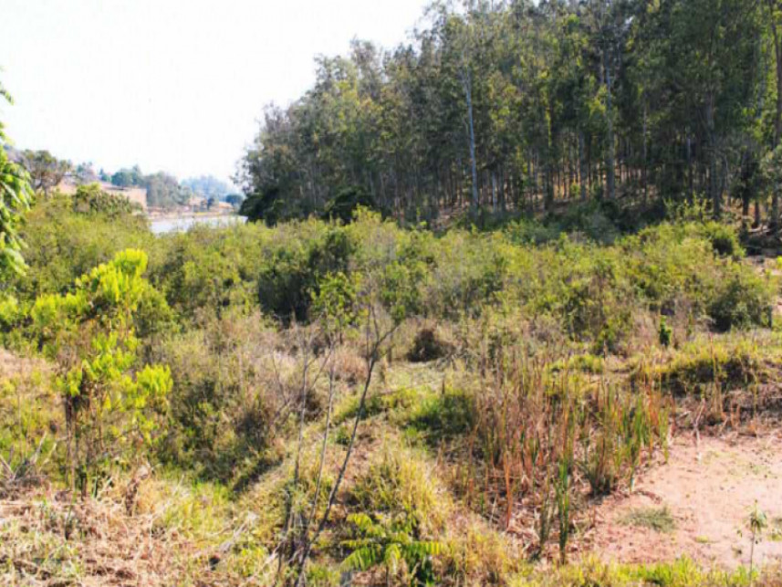 Área Rural - Sítio Cachoeira (BR 491), s/n - Monte Belo/MG