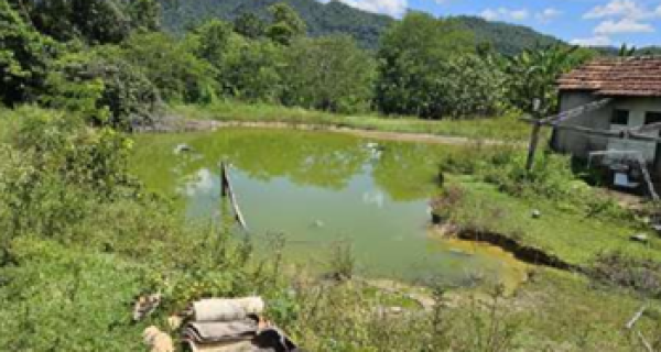 Imóvel rural em guarinos/go