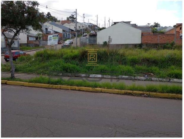 terreno sem benfeitorias Campo Bom