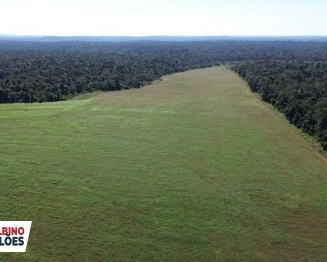 Fazenda - 4.706,74 ha