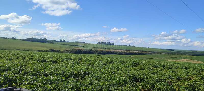 Uma fração de terras de campo, s/benfeitorias, c/área de 5ha situado no distrito da sede desta cidade de Julio de Castilhos, no lugar denominado “Fazenda Tarumã”