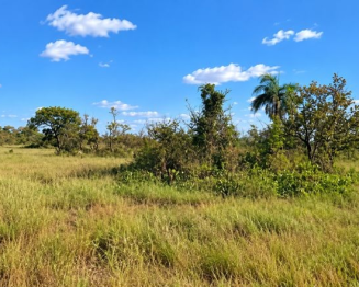 Gleba - 150 ha