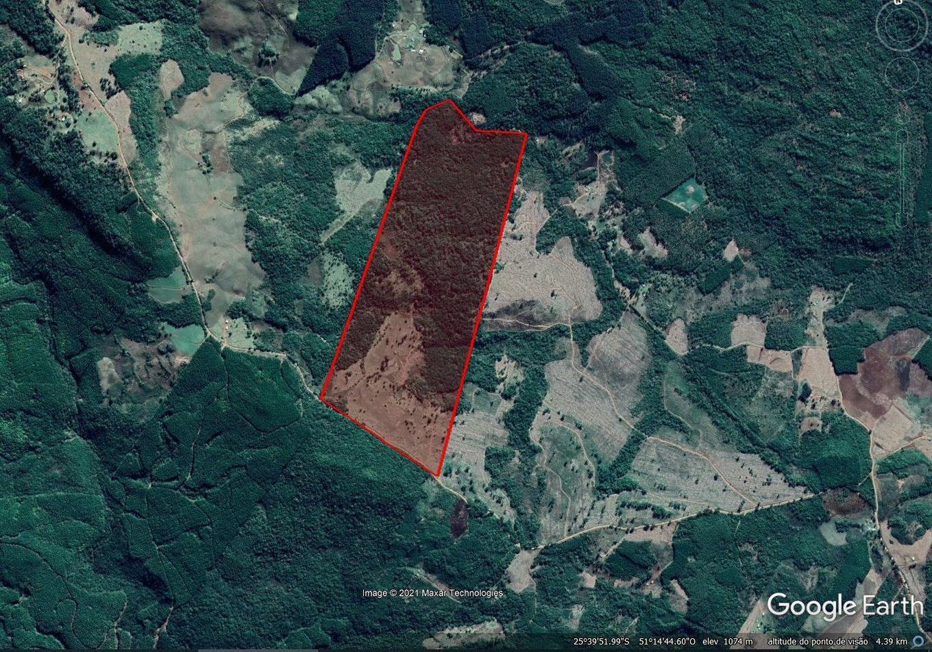 Um Terreno Rural De Cultura, Situado No Imóvel Denominado FAXINAL DOS RODRIGUES Ou SÃO DOMINGOS, Município De Inácio Martins, Comarca De Irati, Denominado Gleba 02 Da Planta De Divisão Amigável Celebrada Entre Os Herdeiros De Mirian Marty Perussolo, Oriun