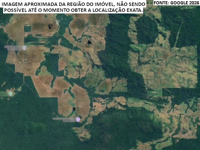 Fazenda c/ 300,48 hectares - Alta Floresta do Oeste/RO